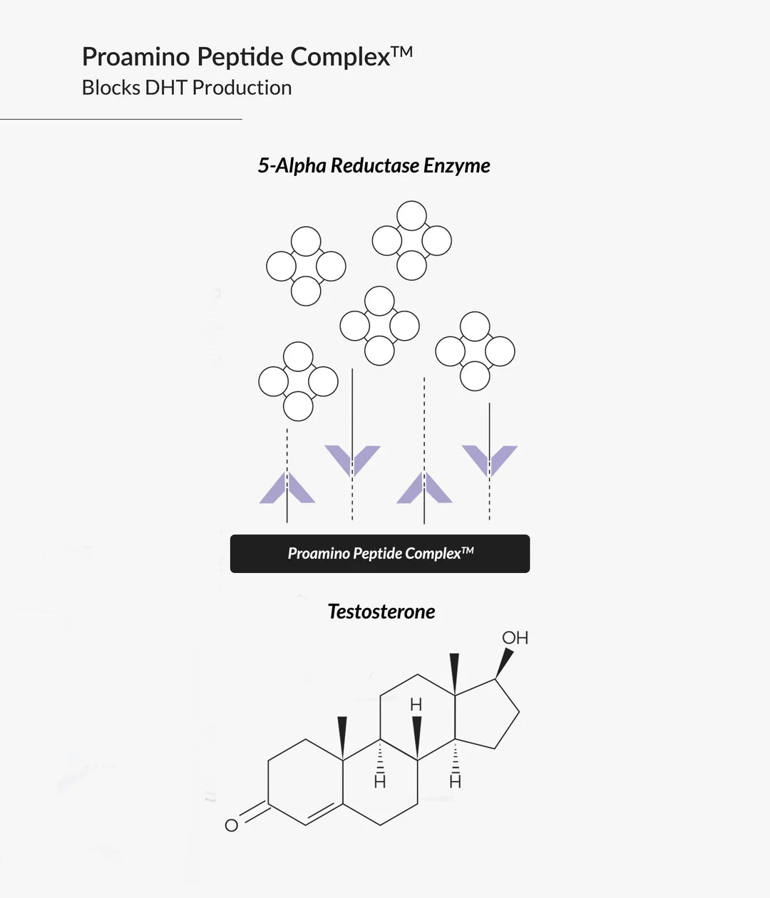 Eufora Three Stage Thickening Regimen